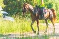 Competitor rival girl riding horse in summer field meadow.Young rider gallops through the summer sunny day Royalty Free Stock Photo