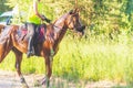 Competitor rival girl riding horse in summer field meadow.Young rider gallops through the summer sunny day Royalty Free Stock Photo