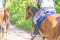 Competitor rival girl riding horse in summer field meadow.Young rider gallops through the summer sunny day.Back view Royalty Free Stock Photo