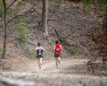 Competitors running down the bush trail in the Australian Mountain Running Championships