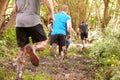 Competitors running in a forest at an endurance event Royalty Free Stock Photo