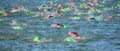 Competitors swimming in at the end of the swimming stage OF Triathlon.