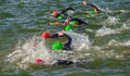 Competitors swimming in at the end of the swimming stage at Triathlon.