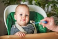 Complementary feeding of child, baby food. The Infant is spoon-fed Royalty Free Stock Photo