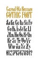 Complete alphabet of the Old Russian Gothic font. Vector. Latin letter. Neo-Russian style of the 17-19th century. English font. St
