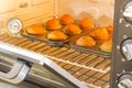 Complete baking banana muffins in the hot oven Royalty Free Stock Photo