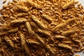 A complete composition featuring a mosaic of oat, wheat, and barley grains