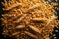 A complete composition featuring a mosaic of oat, wheat, and barley grains