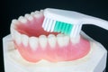 Complete denture or full denture.