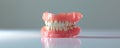 Complete Denture Prosthesis Showcasing Teeth and Gum Anatomy: Dental Dentures Education: Senior Dentist Care