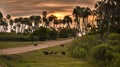 Complete family of capibaras between the palm trees at the afternoon. El Palmar National Park, Entre RÃÂ­os, Argentina