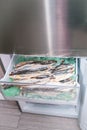 complete freezer compartment of delicious dried fish for beer