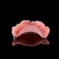 Complete maxillary denture Royalty Free Stock Photo