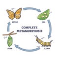 Complete metamorphosis with all life development cycle stages outline diagram Royalty Free Stock Photo