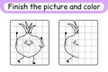 Complete the picture onion. Copy the picture and color. Finish the image. Coloring book. Educational drawing exercise game for