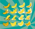 Complete set of bananas