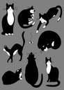 Complete set of cats