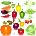 Complete set vegetable Royalty Free Stock Photo
