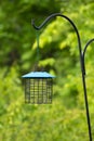 Completely Empty Bird Feeder Royalty Free Stock Photo