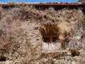 Completely overgrown house facade in Lama, a dreamy hilltop town nestled in the mountains. Corsica, France. Royalty Free Stock Photo