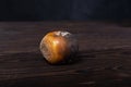 a completely rotten apple lies on a wooden table. a spoiled apple is black on one side and brown on the other. Royalty Free Stock Photo