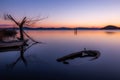 An almost completely sinked little boat in Trasimeno lake Umbria, Italy at dusk, near a skeletal tree Royalty Free Stock Photo