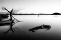 An almost completely sinked little boat in Trasimeno lake Umbria, Italy at dusk, near a skeletal tree Royalty Free Stock Photo