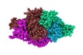 Complex of the catalytic portion of human HMG-CoA reductase with HMG and CoA. Molecular model. 3d illustration Royalty Free Stock Photo