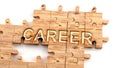 Complex and confusing career: learn complicated, hard and difficult concept of career,pictured as pieces of a wooden jigsaw puzzle Royalty Free Stock Photo