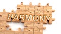 Complex and confusing harmony: learn complicated, hard and difficult concept of harmony,pictured as pieces of a wooden jigsaw