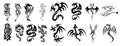 Vector Collection of 16 Dragon Designs Royalty Free Stock Photo