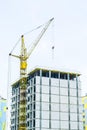 Complex with high rise unfinished apartment buildings with many windows and balconies, yellow cranes under construction Royalty Free Stock Photo