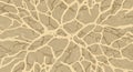A complex network of beige, vein-like patterns sprawls across a textured brown
