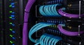 Complex network of fiber optic cables in a server rack infrastru Royalty Free Stock Photo