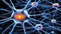 The complex network of neurons, firing and transmitting vital signals for bodily functions cognitive processes