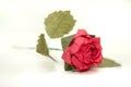 Complex origami rose 2 Royalty Free Stock Photo