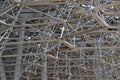 Complex structure of the Hive inside the UK pavilion at Expo Milan 2015.