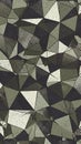 Textured abstract geometric pattern composed of fragmented triangles in muted green, grey, and off-white with halftone and line Royalty Free Stock Photo