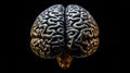 complexity brain on black Royalty Free Stock Photo