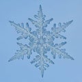 Complexity of snowflakes which are known for their variability and Royalty Free Stock Photo