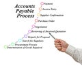 Accounts Payable Process