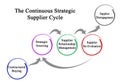 Continuous Strategic Supplier Cycle
