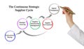 Continuous Strategic Supplier Cycle