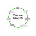 Customer Life cycle Royalty Free Stock Photo