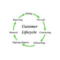 Components of Customer Lifecycle