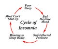 Components of Cycle of Insomnia