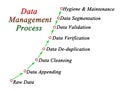 Data Management Process