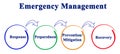 Emergency Management Process