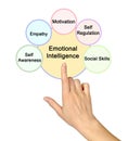 Components of Emotional Intelligence Royalty Free Stock Photo
