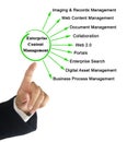 Components of Enterprise Content Management Royalty Free Stock Photo